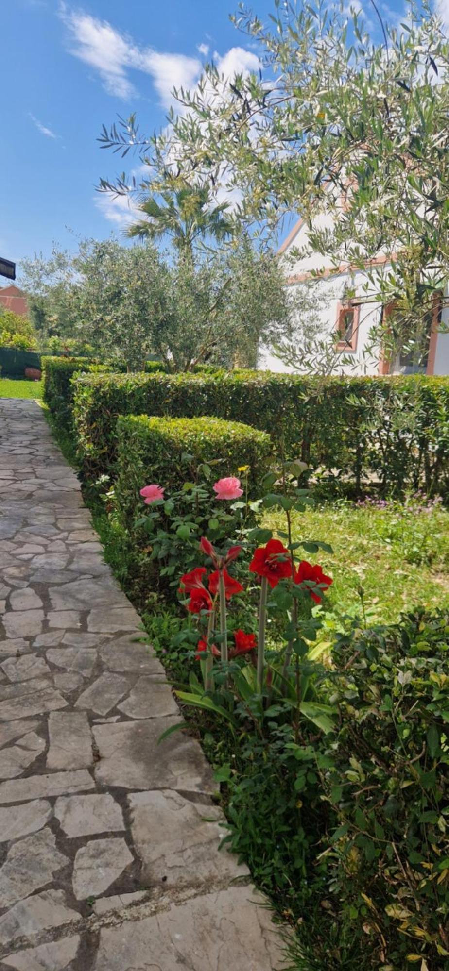 Corfu Studio 4U Roda  Esterno foto